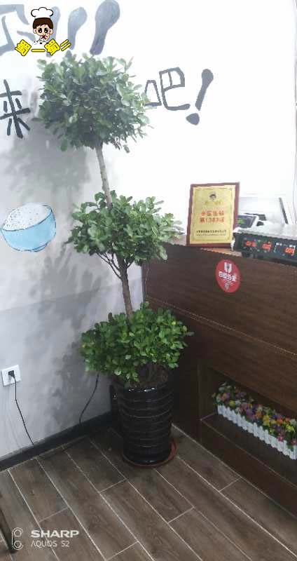 广东深圳龙龙岗区门店